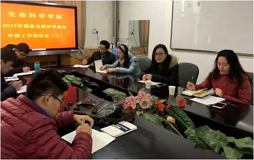 (王祎玲副经理作主题发言)