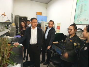 询问本科生毕业论文进展